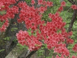 pict2023