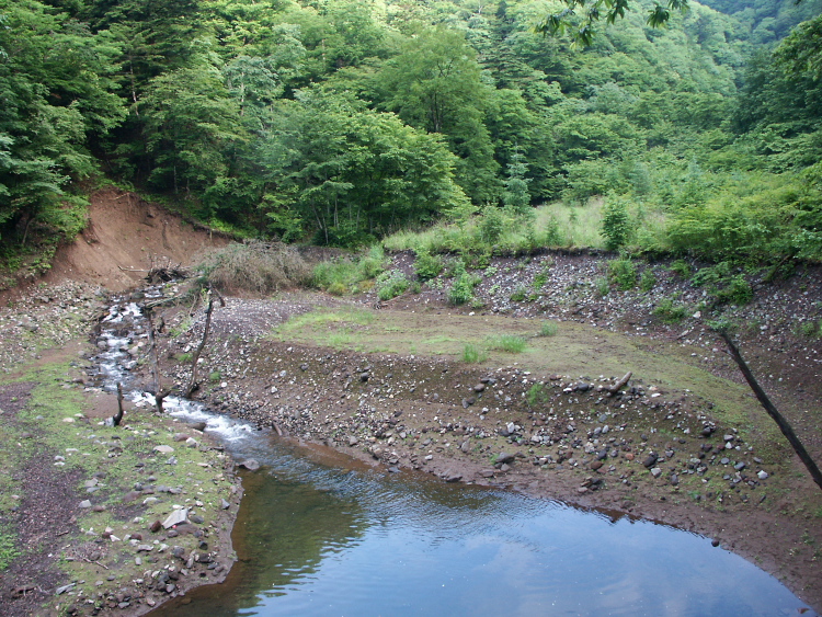 PICT2041.jpg