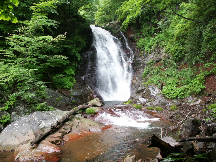 PICT2045.jpg