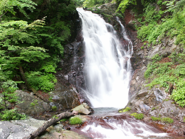 PICT2047.jpg