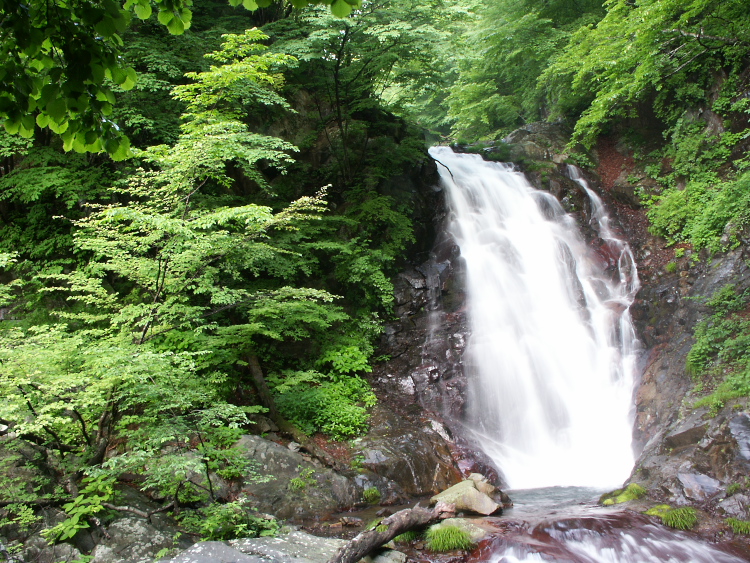 PICT2050.jpg