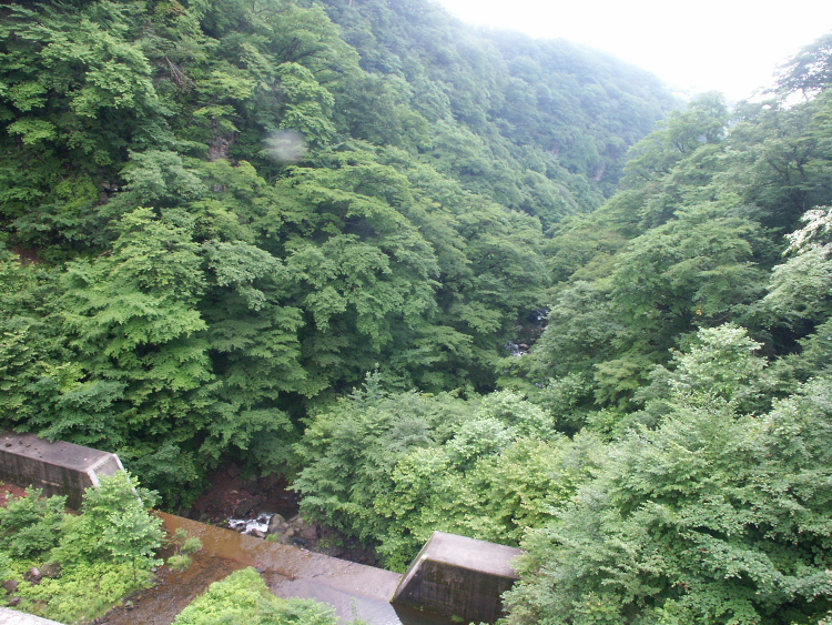 PICT2054.jpg