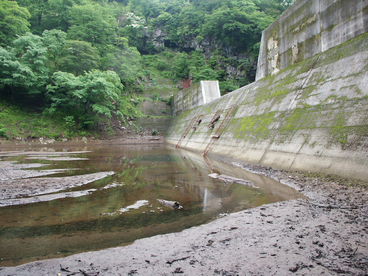 PICT2055.jpg