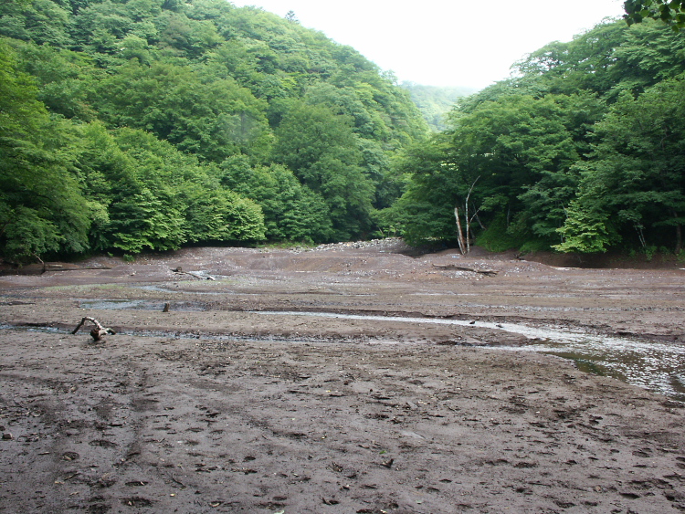 PICT2057.jpg
