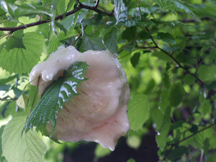 PICT2059.jpg