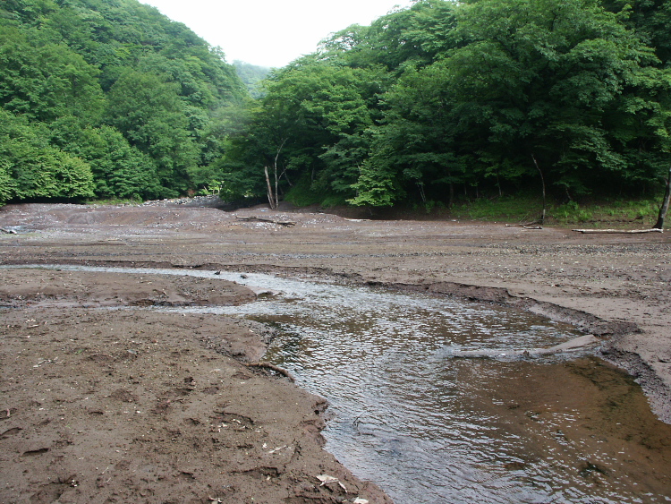 PICT2060.jpg