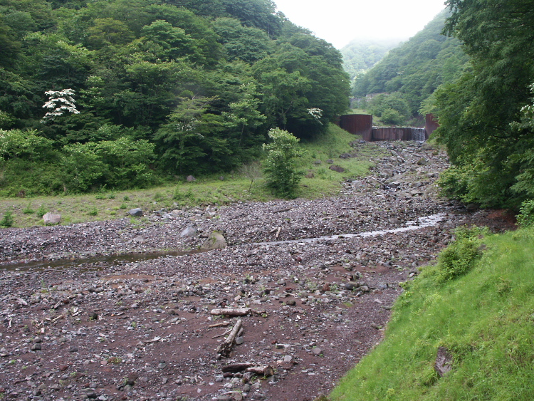 PICT2061.jpg
