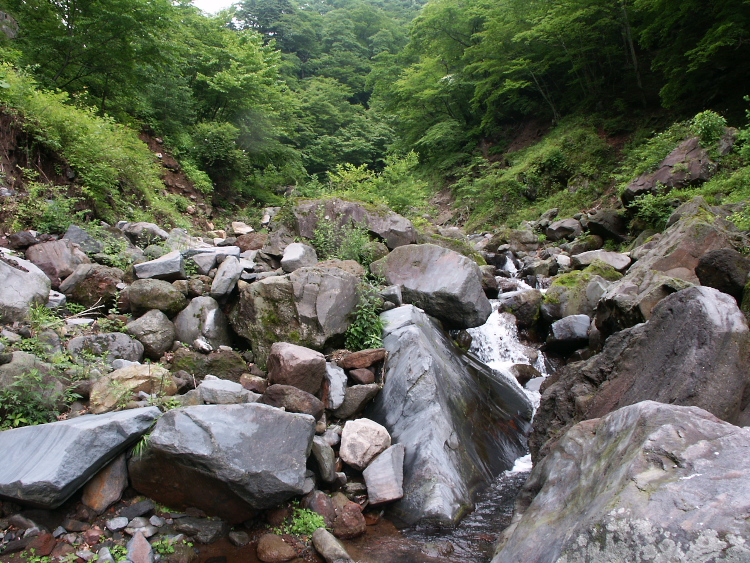 PICT2072.jpg