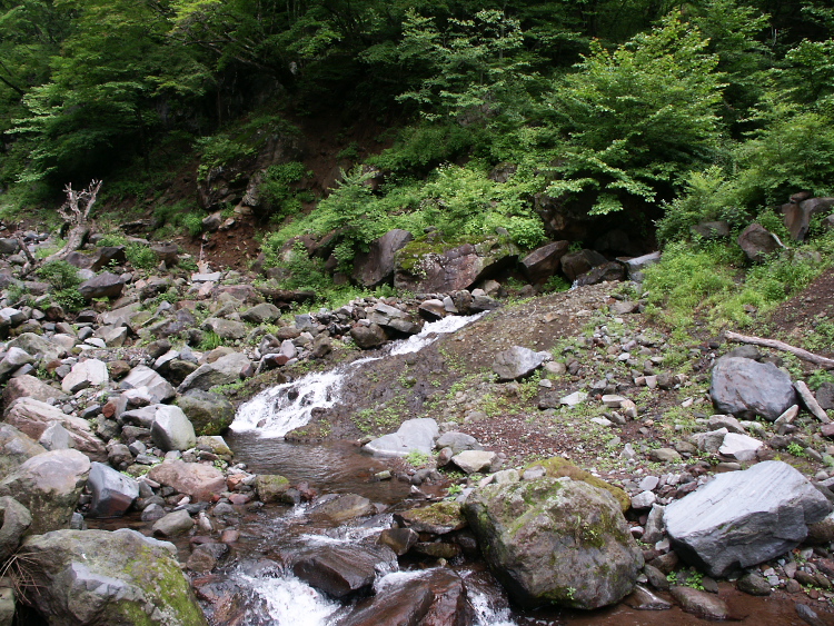 PICT2073.jpg