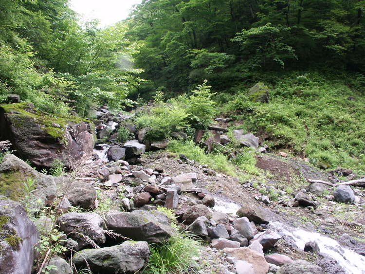 PICT2075.jpg