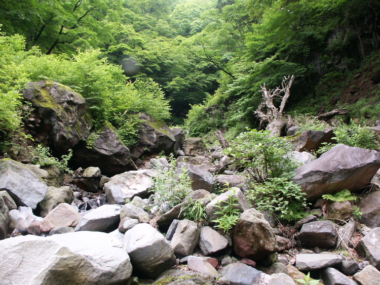 PICT2076.jpg