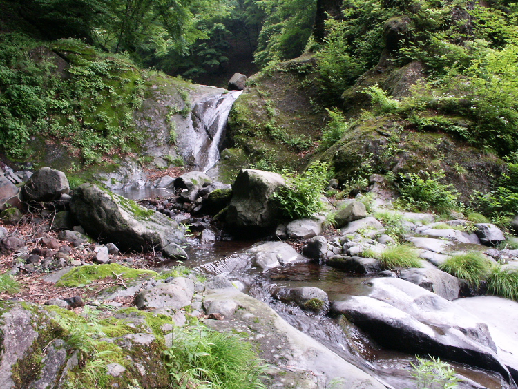 PICT2077.jpg
