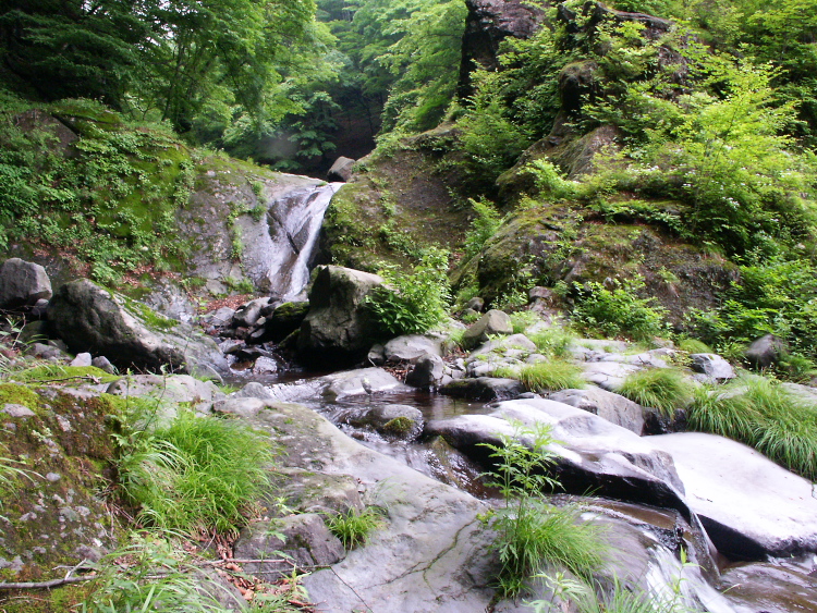 PICT2080.jpg