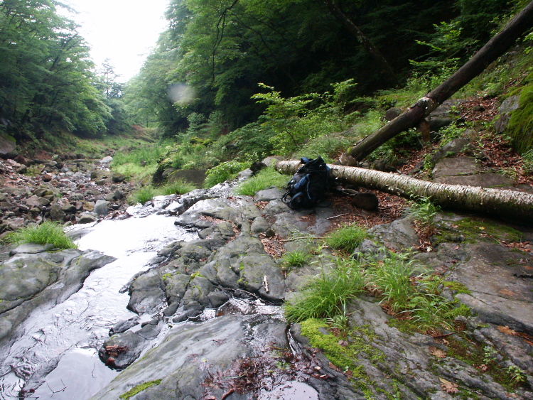 PICT2089.jpg