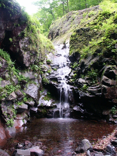 PICT2094.jpg