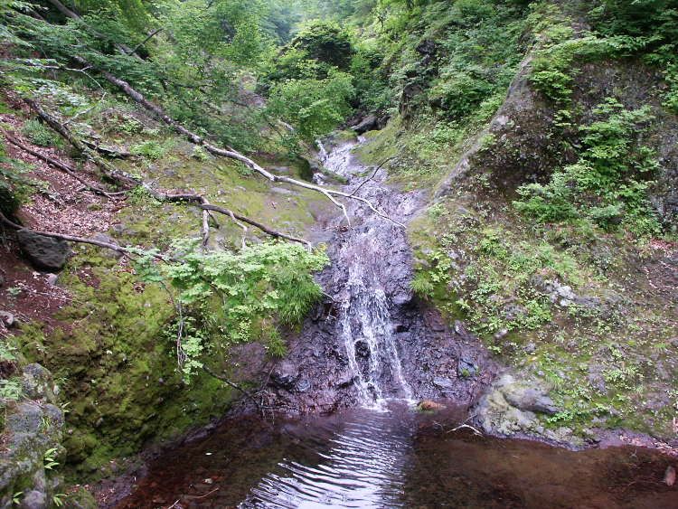 PICT2099.jpg