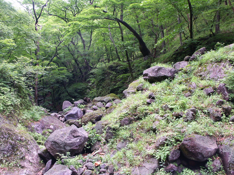 PICT2100.jpg
