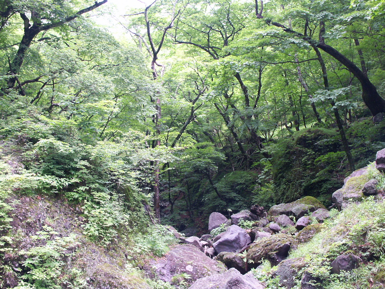 PICT2101.jpg