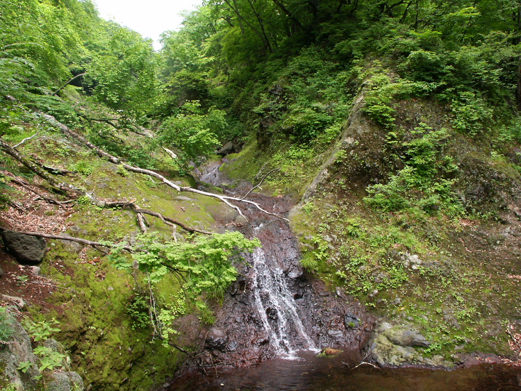 PICT2103.jpg