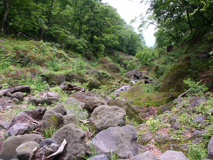 PICT2106.jpg