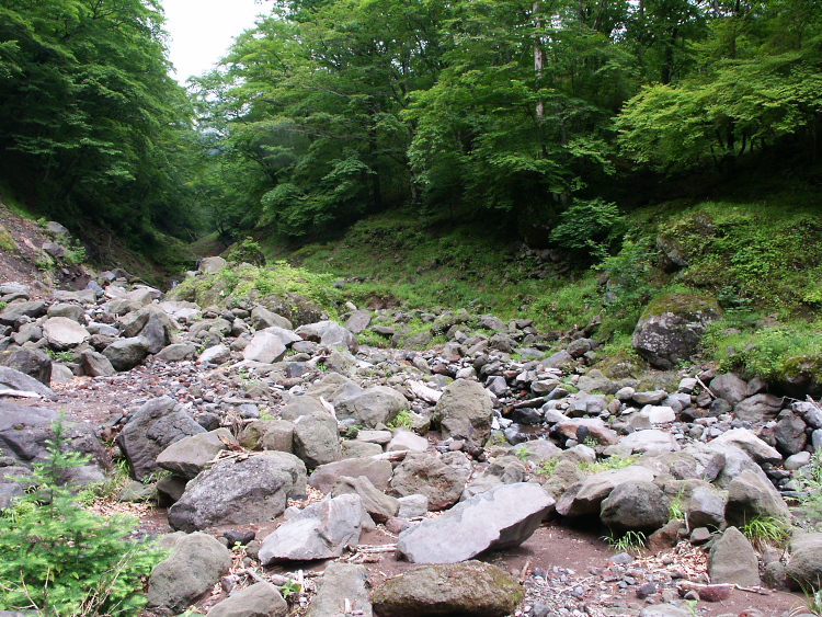 PICT2107.jpg