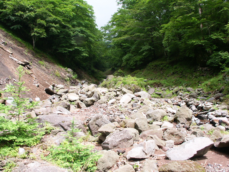 PICT2108.jpg