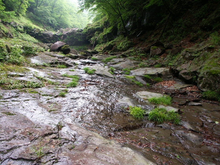 PICT2111.jpg