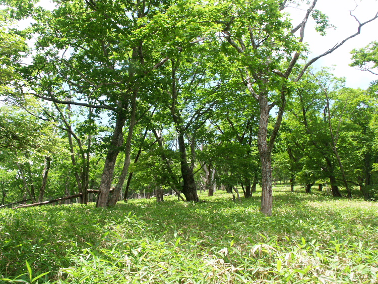 PICT2117.jpg