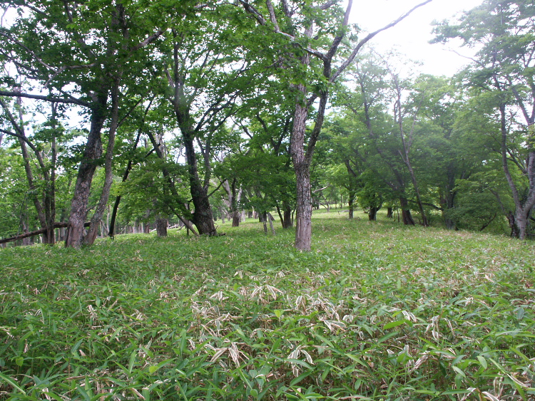 PICT2120.jpg