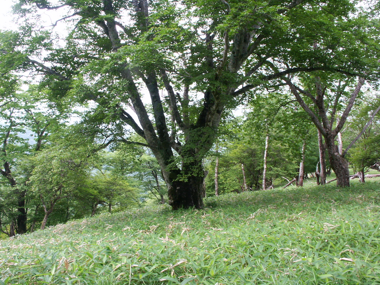 PICT2121.jpg