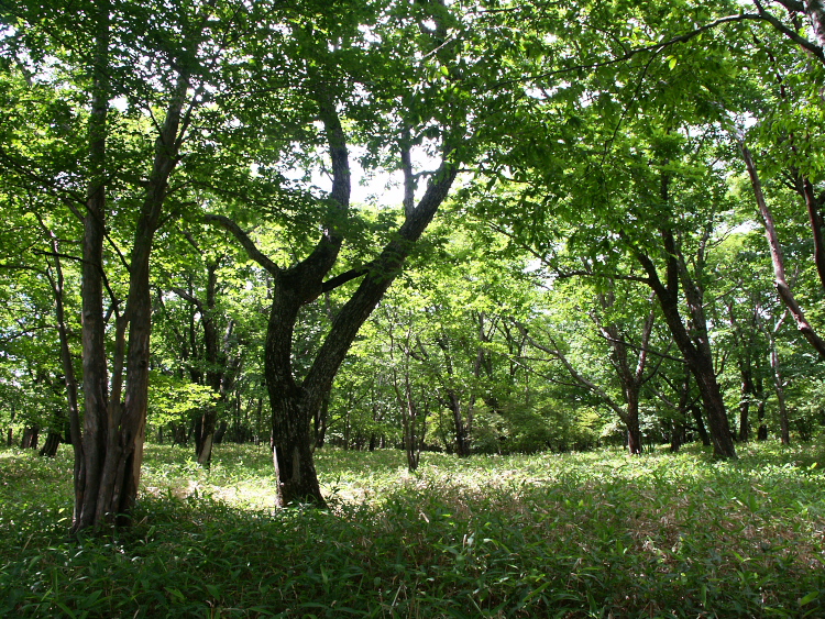 PICT2130.jpg