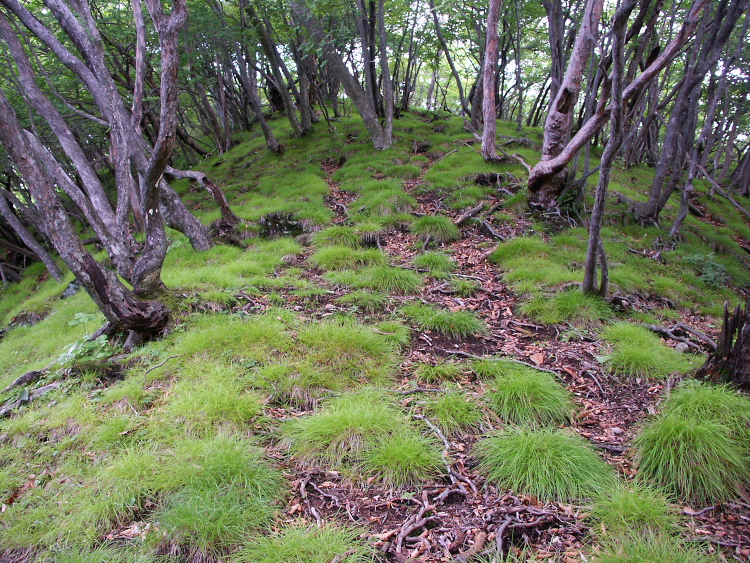 PICT2135.jpg