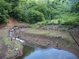 PICT2041