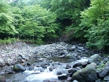 PICT2044