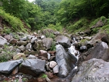 PICT2072