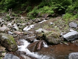 PICT2074