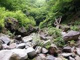 PICT2076