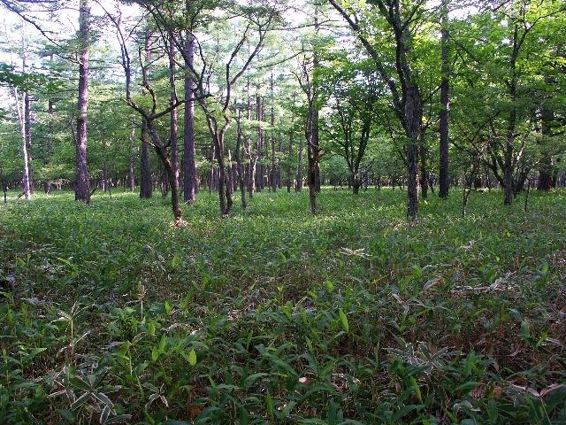 pict2138.jpg