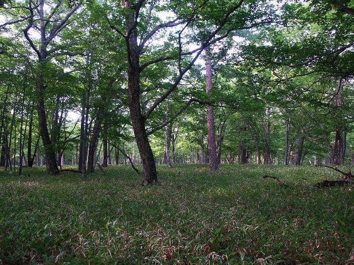 pict2139.jpg