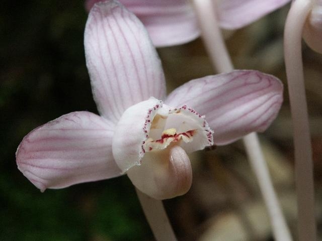pict2146.jpg