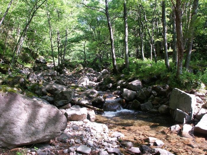 pict2156.jpg