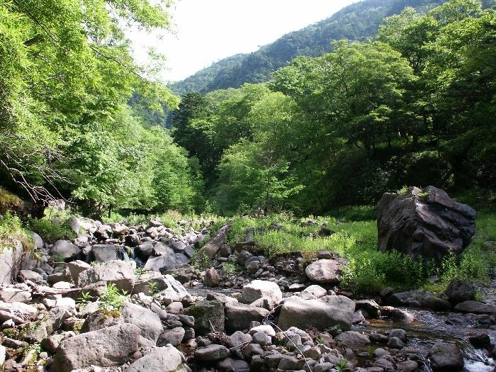 pict2161.jpg