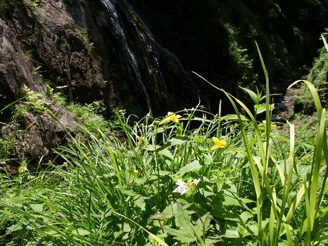 pict2173.jpg
