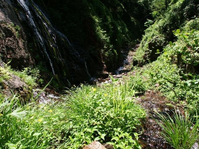 pict2176.jpg