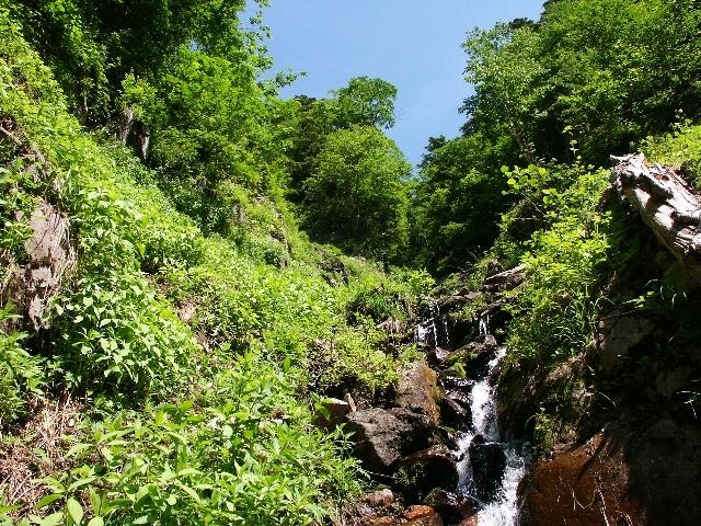pict2178.jpg