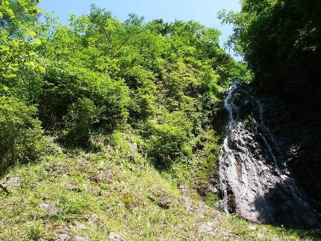 pict2181.jpg