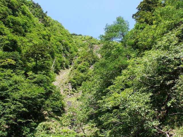 pict2185.jpg