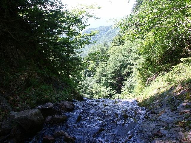 pict2186.jpg