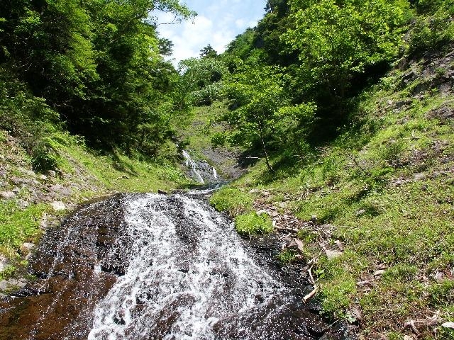 pict2194.jpg