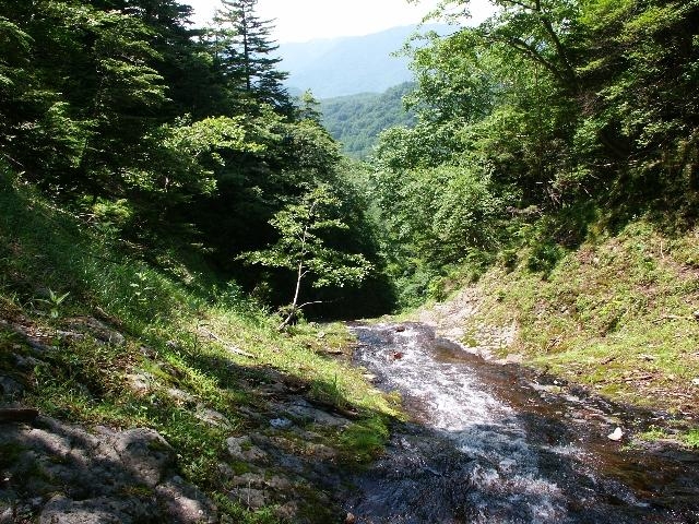 pict2196.jpg